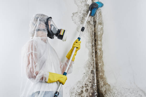Water Damage Restoration in Pomona, CA