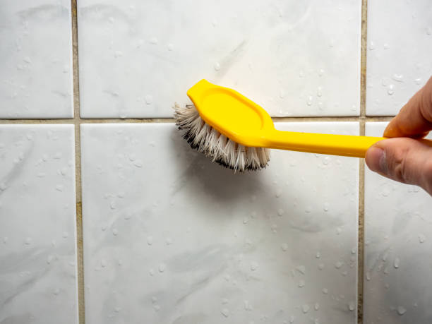 Best Office Mold Removal Services  in Pomona, CA